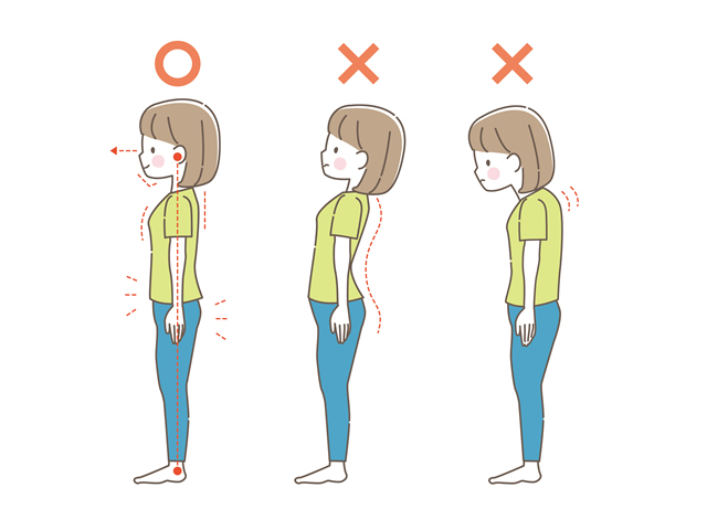 姿勢の乱れのカウンセリングを受ける女性